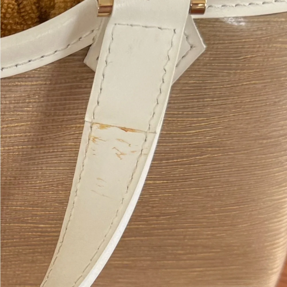 Louis Vuitton Epi Plage Lagoon Bay Tote with COA and LV Dust Bag - EUC - Picture 15 of 15